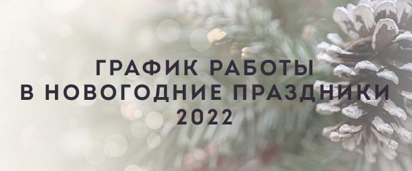 График работы в новогодние праздники 2022
